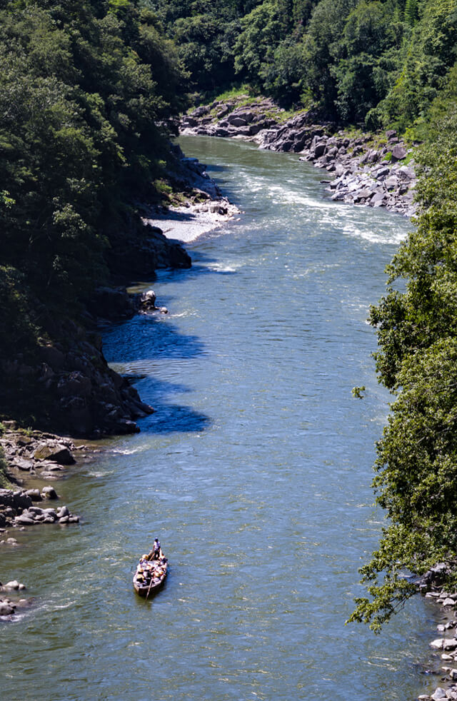 シーズナルギフト